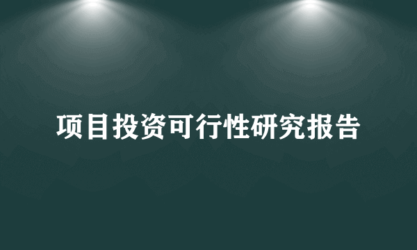 项目投资可行性研究报告