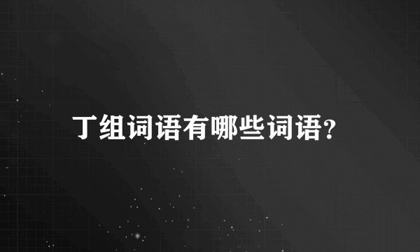 丁组词语有哪些词语？