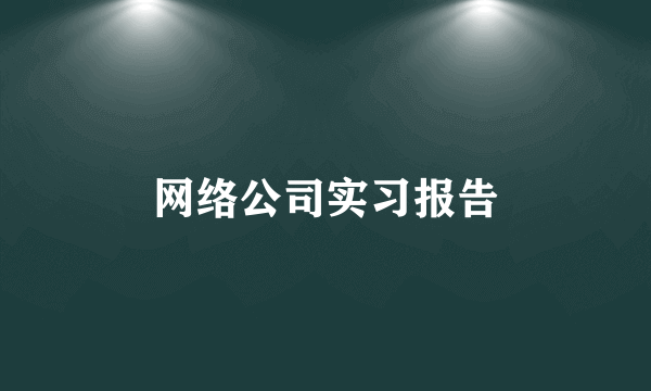 网络公司实习报告