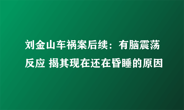 刘金山车祸案后续：有脑震荡反应 揭其现在还在昏睡的原因