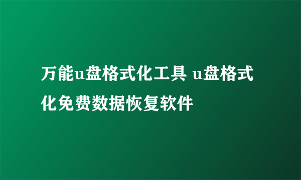 万能u盘格式化工具 u盘格式化免费数据恢复软件