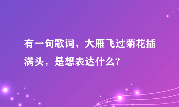 有一句歌词，大雁飞过菊花插满头，是想表达什么?