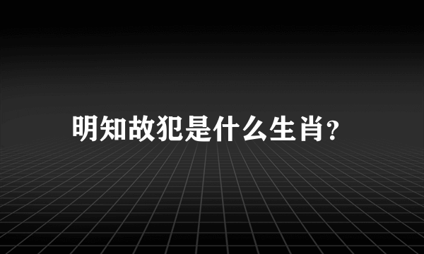 明知故犯是什么生肖？