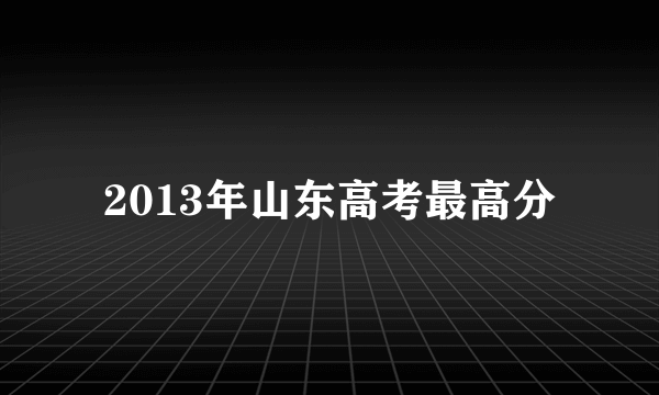 2013年山东高考最高分