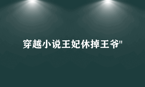 穿越小说王妃休掉王爷