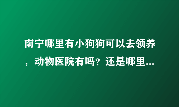 南宁哪里有小狗狗可以去领养，动物医院有吗？还是哪里？不要说那些什么网站，我看了也没什么用，都是卖狗的