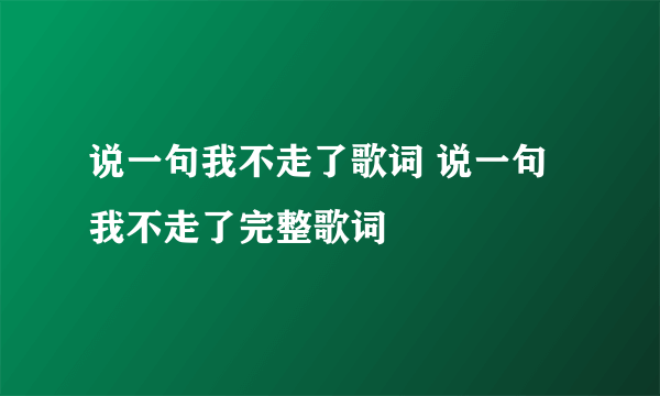 说一句我不走了歌词 说一句我不走了完整歌词