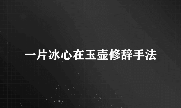 一片冰心在玉壶修辞手法