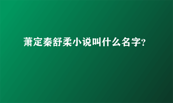 萧定秦舒柔小说叫什么名字？