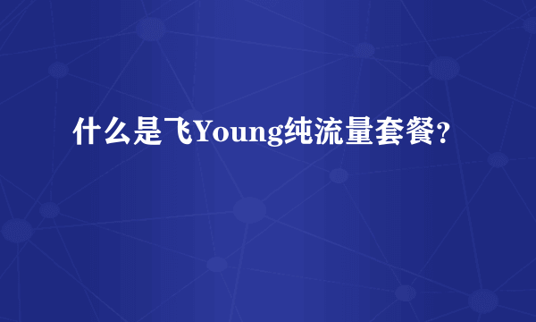 什么是飞Young纯流量套餐？