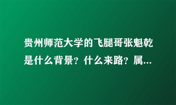 贵州师范大学的飞腿哥张魁乾是什么背景？什么来路？属于哪一派的？