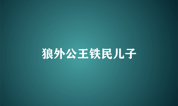 狼外公王铁民儿子