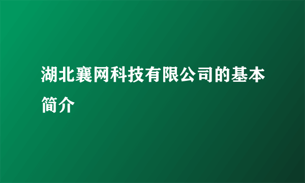 湖北襄网科技有限公司的基本简介