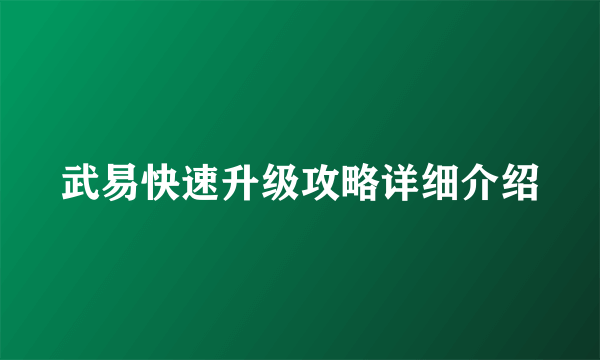 武易快速升级攻略详细介绍