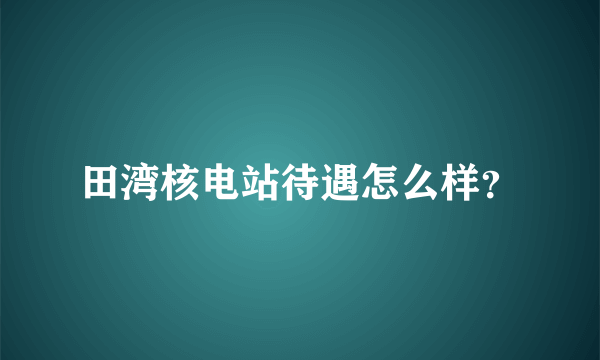 田湾核电站待遇怎么样？