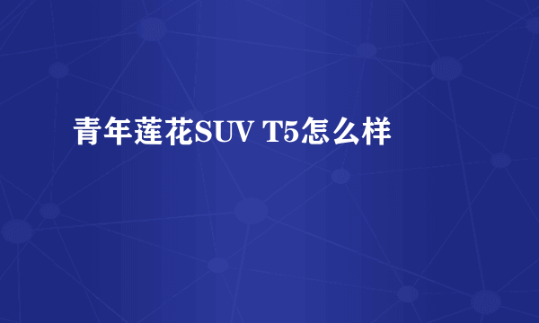 青年莲花SUV T5怎么样