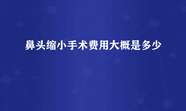 鼻头缩小手术费用大概是多少