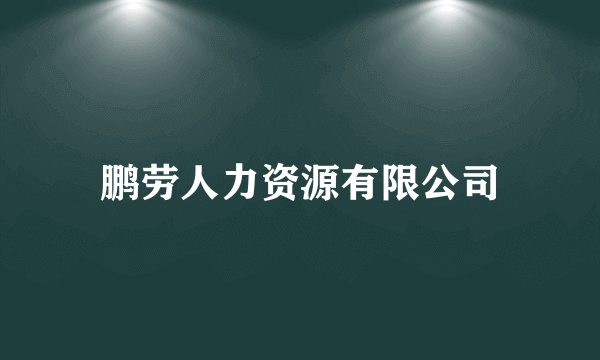 鹏劳人力资源有限公司