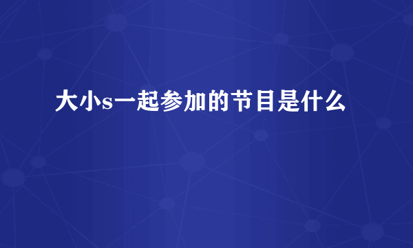 大小s一起参加的节目是什么