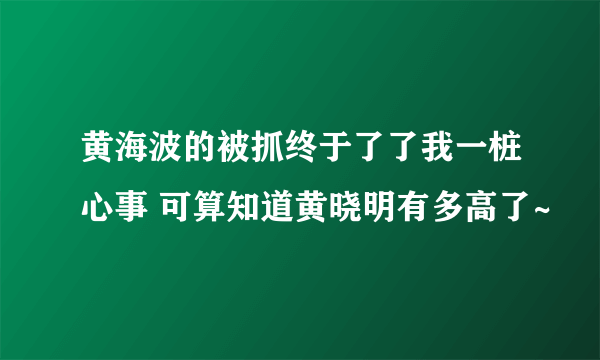 黄海波的被抓终于了了我一桩心事 可算知道黄晓明有多高了~