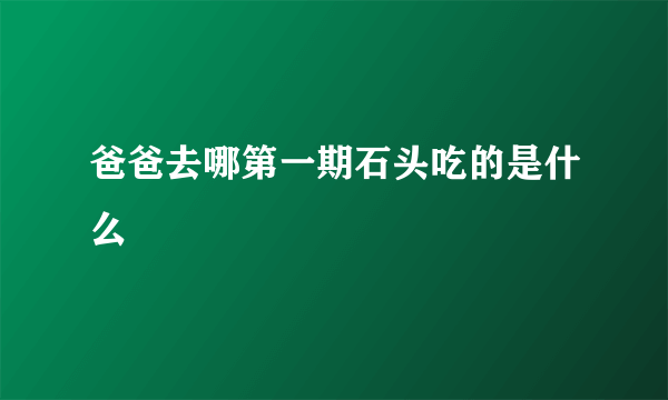 爸爸去哪第一期石头吃的是什么