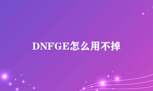 DNFGE怎么用不掉