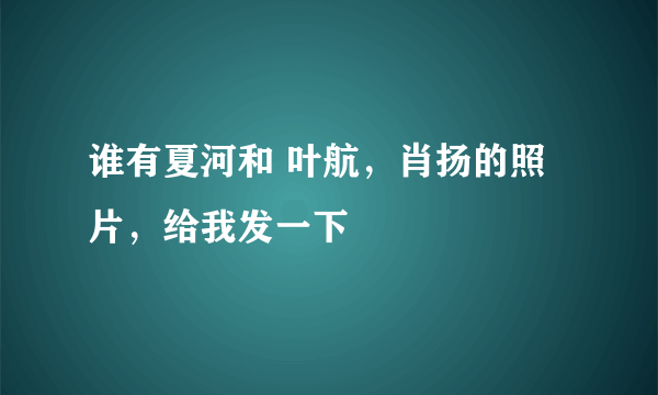 谁有夏河和 叶航，肖扬的照片，给我发一下