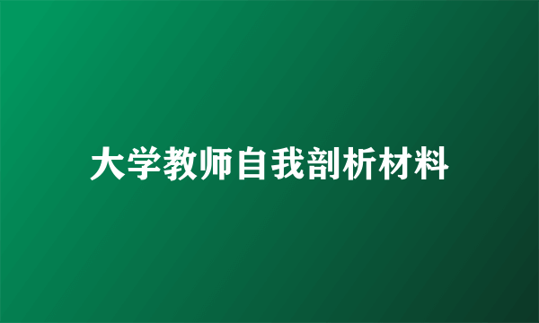 大学教师自我剖析材料