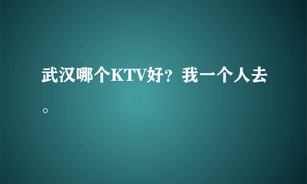 武汉哪个KTV好？我一个人去。