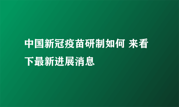 中国新冠疫苗研制如何 来看下最新进展消息