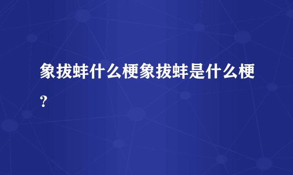 象拔蚌什么梗象拔蚌是什么梗？